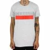 Cerruti 1881 Torres for T-shirts & Polos Couleur Gris -Cerruti 1881 Soldes 23273427 500 A