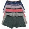 Cerruti 1881 Fantaisie for Boxers Couleur Multicolore